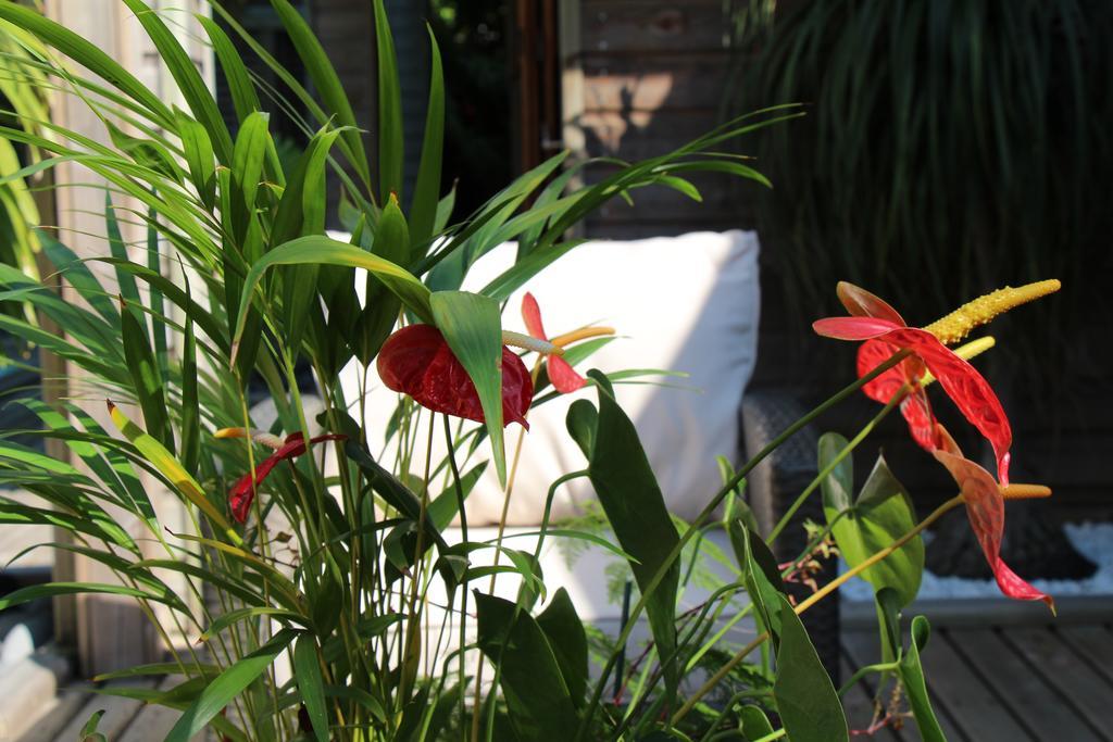 Margayillat Apartment Manapany-les Bains Luaran gambar