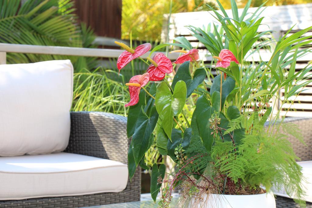 Margayillat Apartment Manapany-les Bains Luaran gambar
